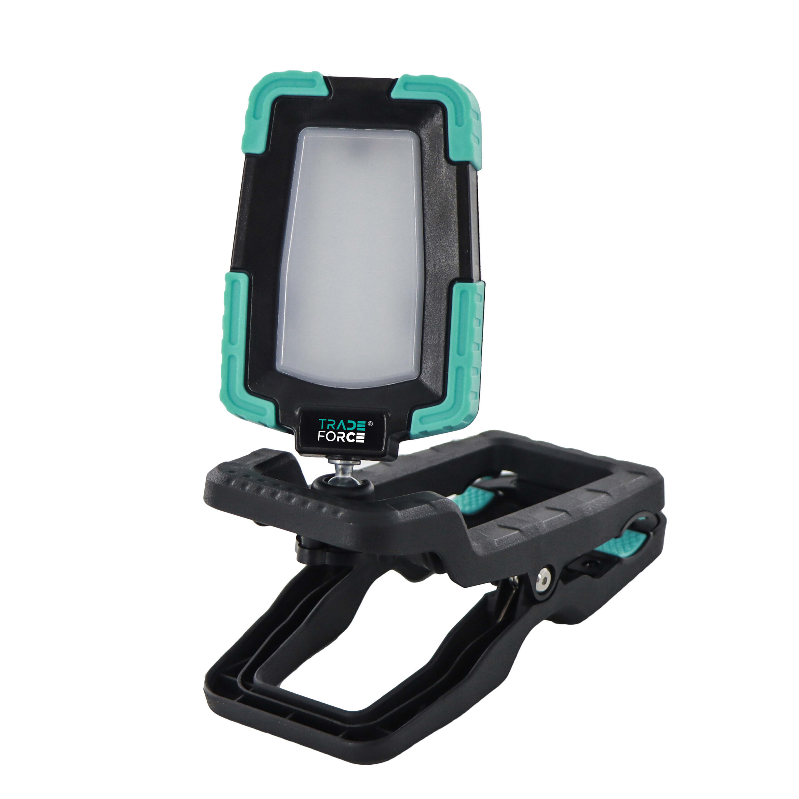 Draagbare werklamp LED 10W 3