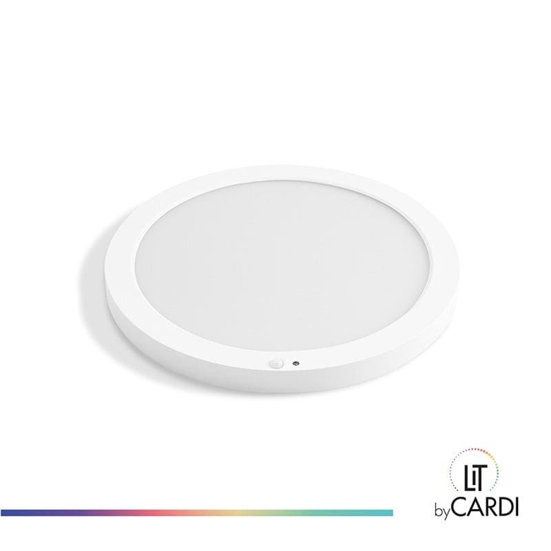 LIT by Cardi Ava downlight slim
