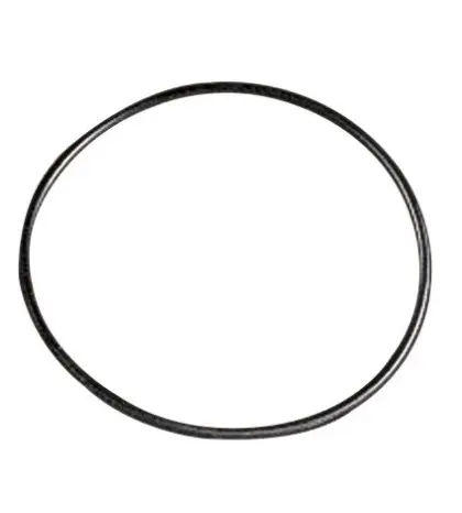 Watts O-ring voor mazoutfilter RG/OR 0199013
