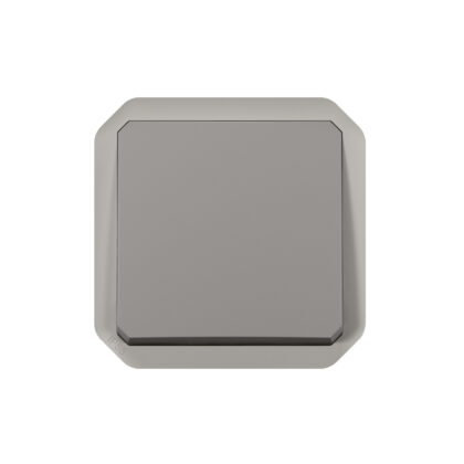LEGRAND Plexo drukknop NO 10A 250V mechanisme IP55 IK08 grijs 069540L