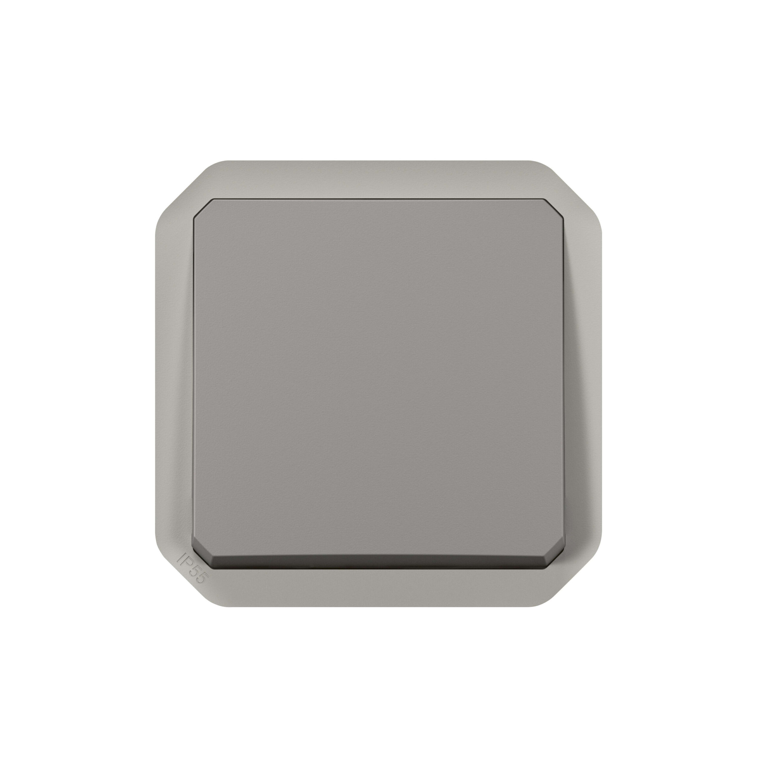 LEGRAND Plexo drukknop NO 10A 250V mechanisme IP55 IK08 grijs 069540L