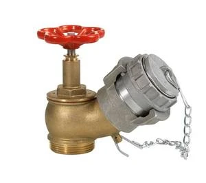 Somati  muurhydrant kraan 6/4 met DSP45 koppeling en afsluitstop 116292