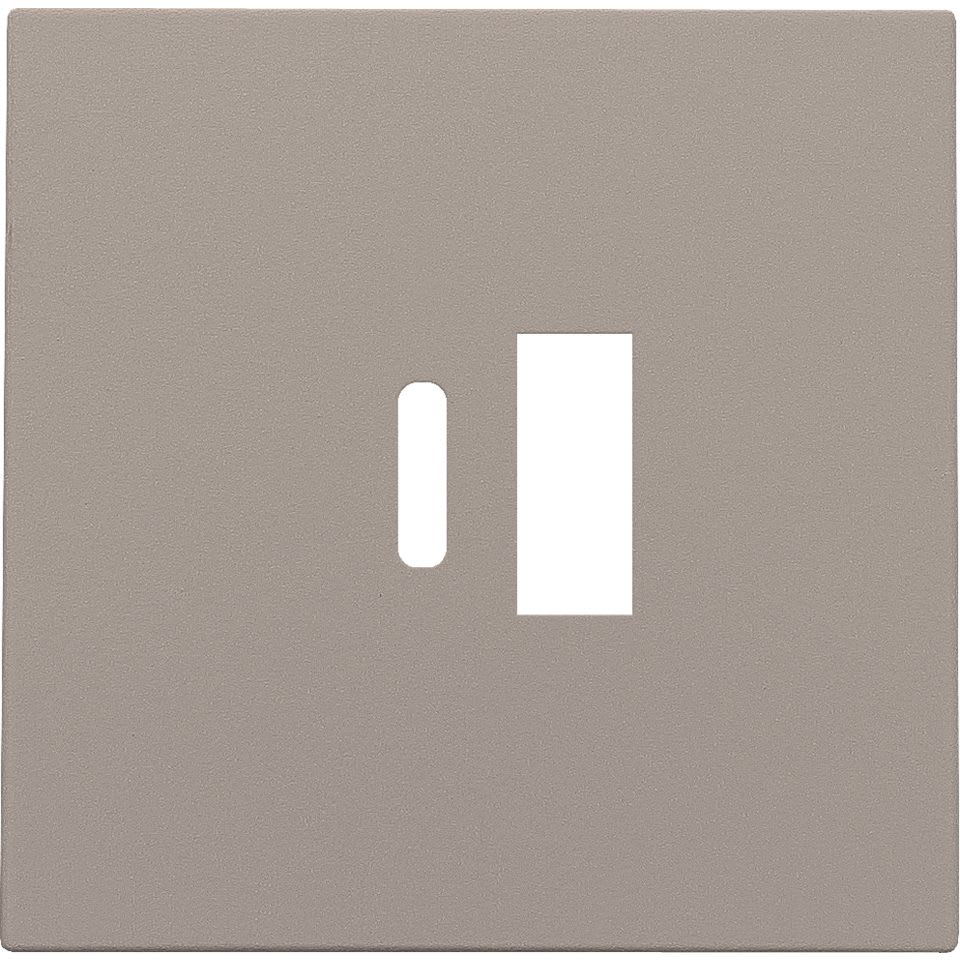 NIKO Centraalplaat dubbele smart usb-a en usb-c-lader