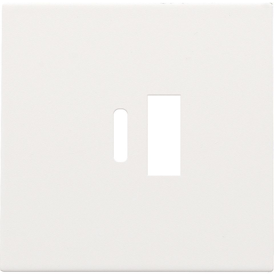 NIKO Centraalplaat dubbele smart usb-a en usb-c-lader