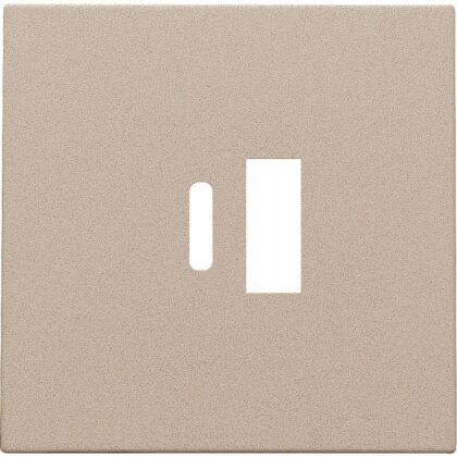NIKO Centraalplaat dubbele smart usb-a en usb-c-lader