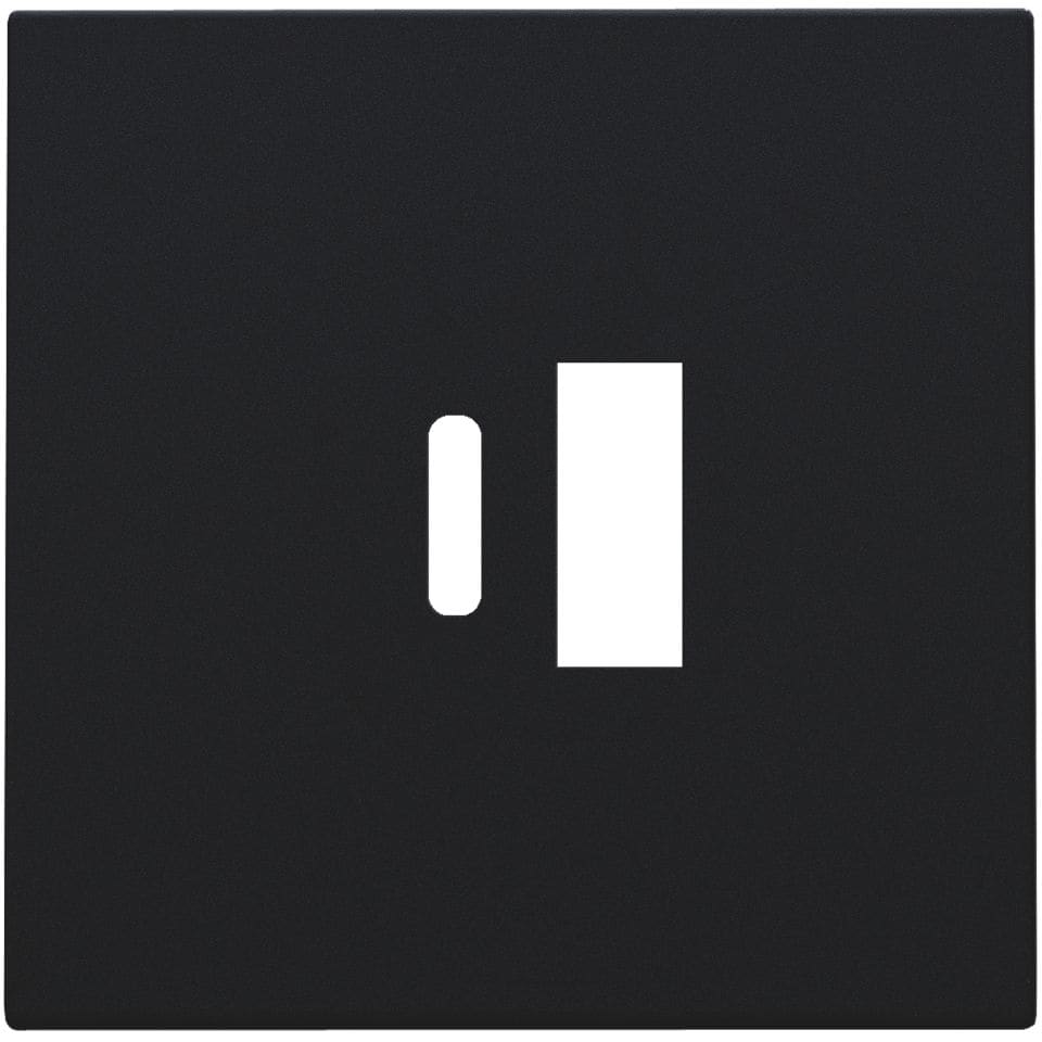 NIKO Centraalplaat dubbele smart usb-a en usb-c-lader