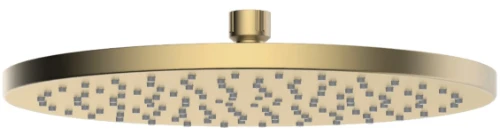 Vivo hoofddouche rond 300 x 17 mm - Brushed Gold PVD - goud mat PVD 2035368