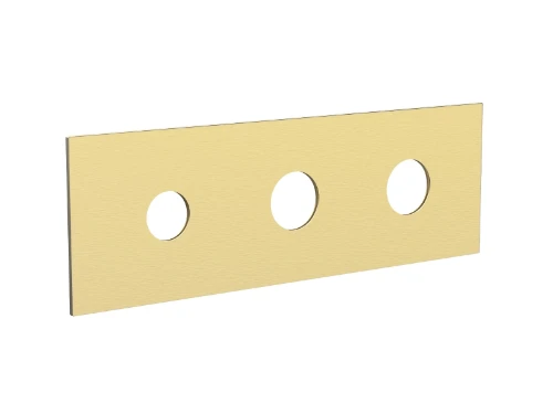 Vivo afdekplaat voor 3-gats douchethermostaat - Brushed Gold PVD - goud mat PVD 2043134