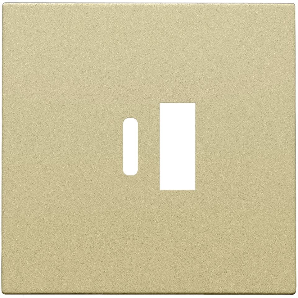 NIKO Centraalplaat dubbele smart usb-a en usb-c-lader