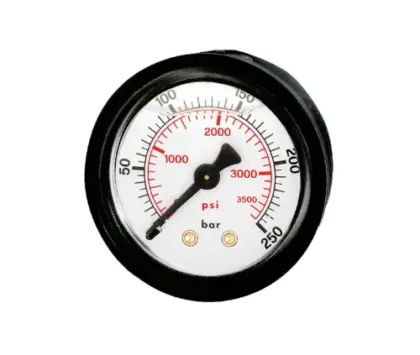 Watts ABS manometer glycerine/axiaal FR104 DN63 0-10bar 3413110