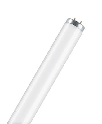 OSRAM Tl 20w Ø38 1150lm 640s 4050300014685
