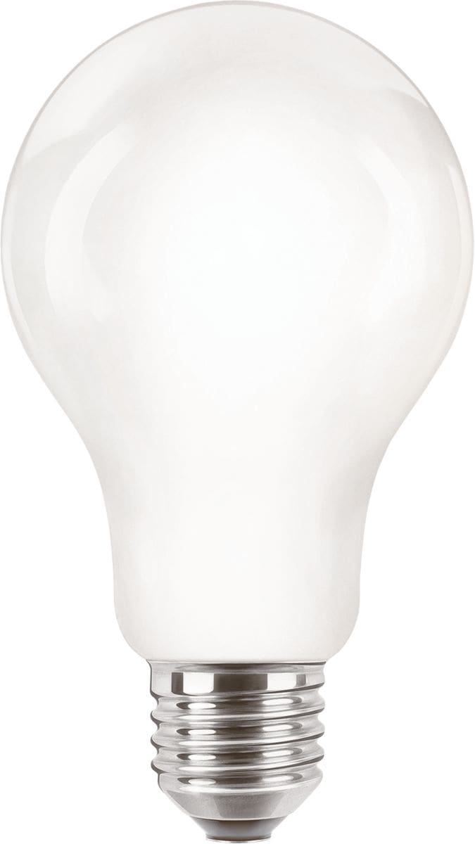 Philips Lighting CorePro LED bulb A67 13W 120W E27 4000K 2000lm CRI80 15000h 8719514346550
