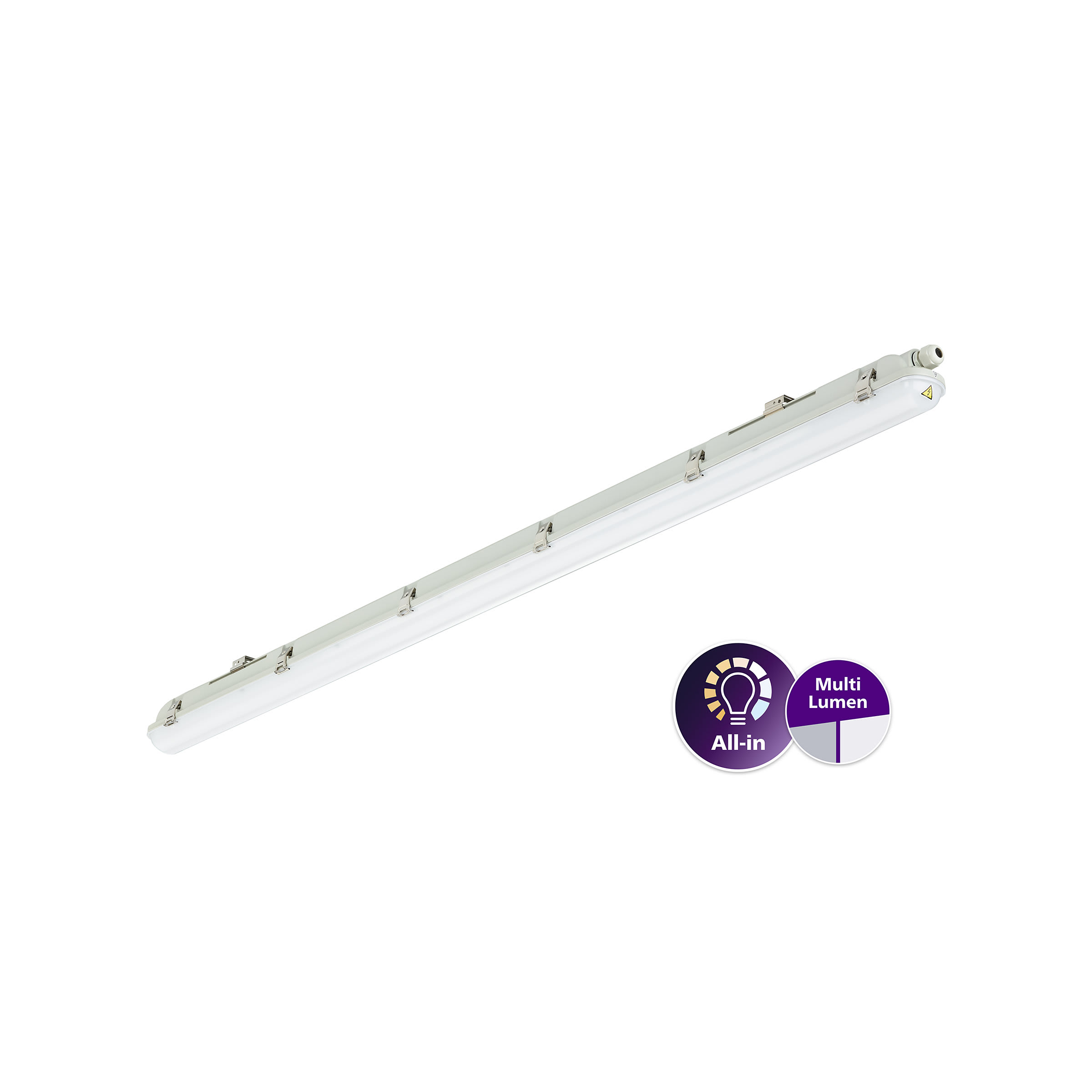 Philips Lighting Waterdichte armatuur LED - Ledinaire waterproof WT065C - kunststof