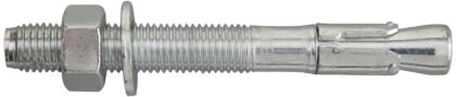 Dewalt PTB-PRO M20x160 Doorsteekanker - Verzinkt (10 st) DFM1110880