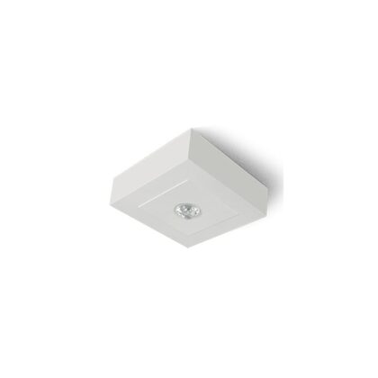 LINERGY VIALED EVO MINIBOX 4