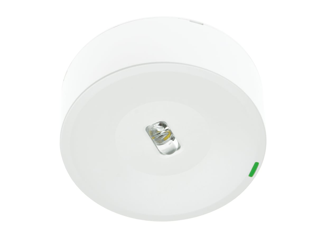 ZEMPER SPAZIO ON P ZELFTEST 250lm P/NP 1h IP42/IK04 WIT 230V 50Hz LSM3251LXP