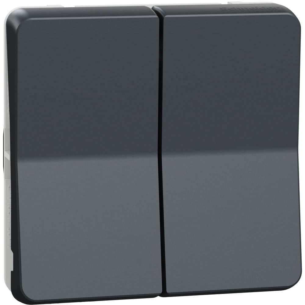 Schneider Residential Mureva Styl - Dubbele wisselschakelaar - inzetstuk IP55 - grijs MUR35019