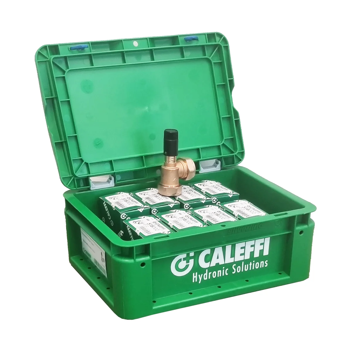 Caleffi NLPRO518002 drukverschilregelaar