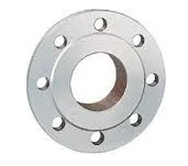Grundfos 96569185 voorlasflens
