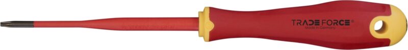 Geïsoleerde Torx-schroevendraaier 1000V T10x100mm