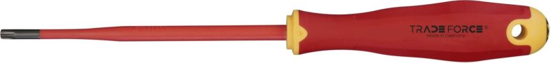 GeïsoleerdeTorx-schroevendraaier 1000V T25x125mm