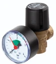 Watts SVH overdrukventiel met manometer FF 1/2 x 1/2 - 3 bar 0210130