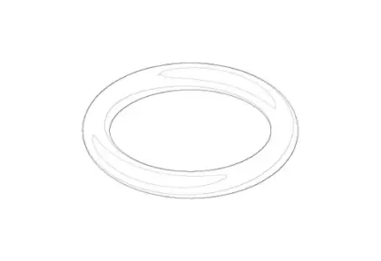DORNBRACHT WSS O-Ring EPDM 70 12