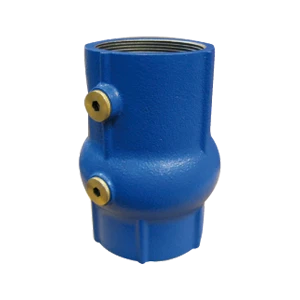 Watts EA253 terugslagklep FF 2 1/2 x 2 1/2 - gietijzer - Belgaqua gekeurd 149B3810