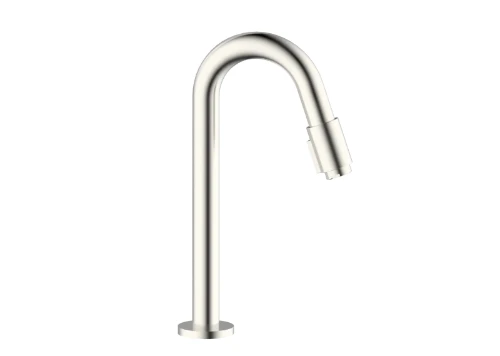Vivo koudwaterkraan - uitloop 270 mm - Brushed Nickel PVD - geborsteld mat PVD 1960650