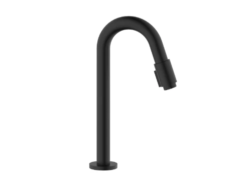 Vivo koudwaterkraan - uitloop 270 mm - zwart mat 1960681