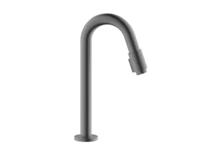 Vivo koudwaterkraan - uitloop 270 mm - Gun Metal PVD - staal mat PVD 1960683