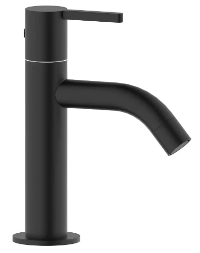 Vivo koudwaterkraan 155 mm - zwart mat 1979341