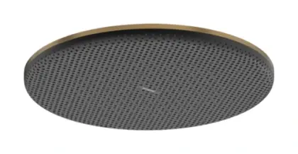 Hansgrohe Raindance Alive S hoofddouche 300 mm 1jet - Brushed Bronze 24520140