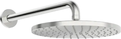 Hansa Hansaviva regenhoofddouche 250 mm - muurmodel - chroom 44260200