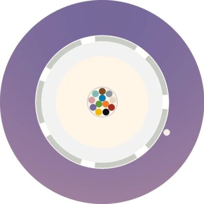 Aginode Belgium LANmark-OF LooseTube Universal 6X Multimode 50/125 OM4 LSZH Cca VIOLET N167.LTUN06-VC