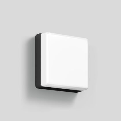 BEGA Wall luminaire for indoors & outdoors Graphite 3000K 24892K3