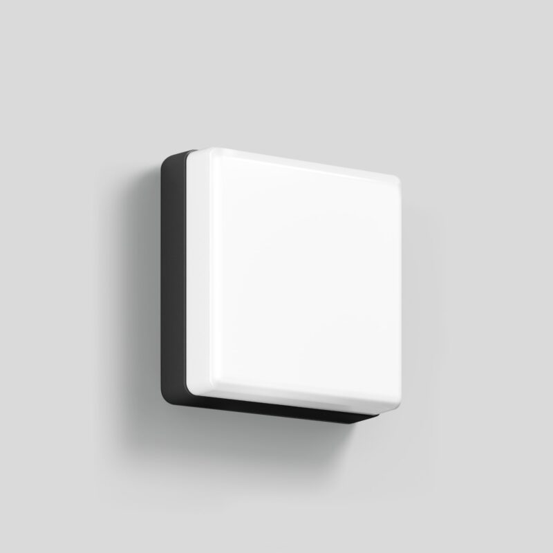 BEGA Wall luminaire for indoors & outdoors Graphite 3000K 24892K3