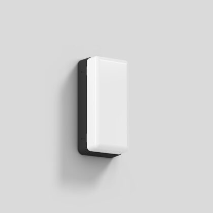 BEGA Wall luminaire for indoors & outdoors Graphite 3000K 24896K3