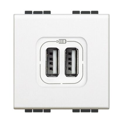 BTICINO LL USB-lader C-3A-2 mod wit N4286C2