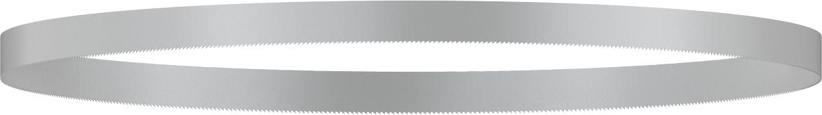 Bosch Professional Bandzaagblad CB 2818 BIM