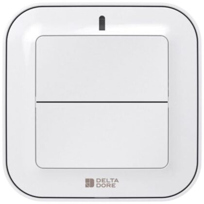 DELTA DORE Tyxia 2310 | Draadloze zenderschakelaar voor verlichting of automatisering 6351380