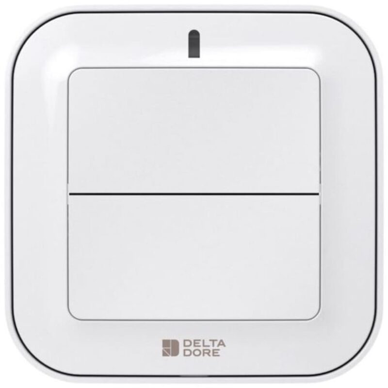 DELTA DORE Tyxia 2310 | Draadloze zenderschakelaar voor verlichting of automatisering 6351380