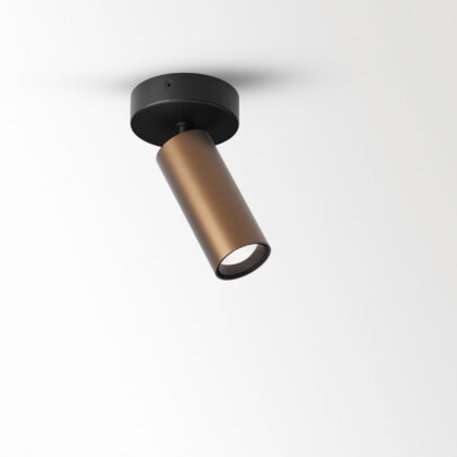 DELTA LIGHT SPY 39 ON FOCUS 927 BRCU 24174 9200 BRCU