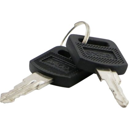 Excel Networking Solutions Environ Keys for front/rear doors and side panels - spare set 542-001