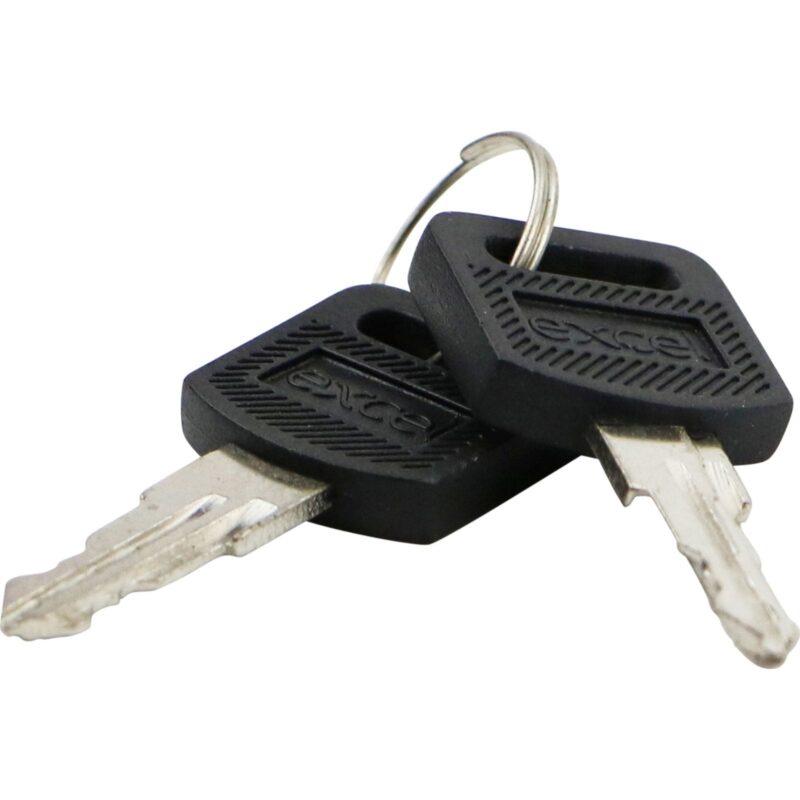 Excel Networking Solutions Environ Keys for front/rear doors and side panels - spare set 542-001