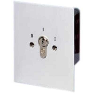 FAAC FAAC KEY 4 Beveiligd sleutelcontact houdcontact inbouw (IP54) incl 3 sleutels 12203201008