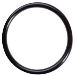 Cintropur WSS O-ring voor filterklok voor NW18-NW25-NW32-SL160-SL240 FWZCONW250