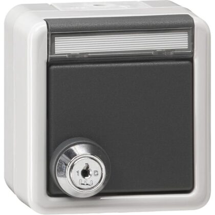 GIRA WCD/RA KD slot gelijk + TK SW opbouw grijs 456930