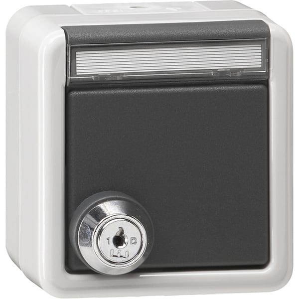 GIRA WCD/RA KD slot gelijk + TK SW opbouw grijs 456930