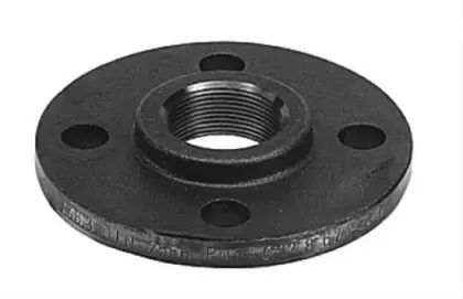 Grundfos Tegenflens met schroefdraad pn10/16 2 grundfos voor pomp DN 50 96569171